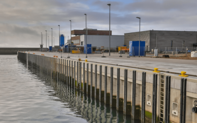 Top 5 Causes of Boating Accidents